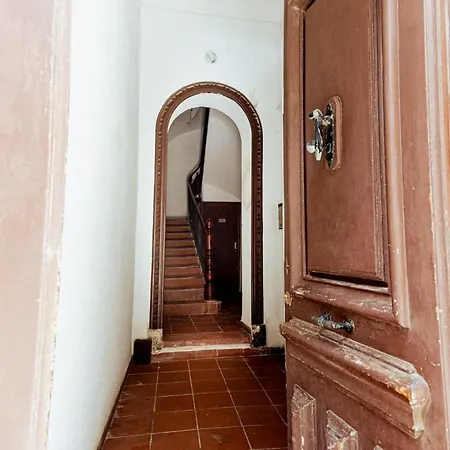 Apartment Moonkey Calle Mayor