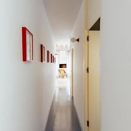 Moonkey Calle Mayor Alicante